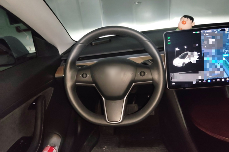 特斯拉 Model 3 2020款 改款 标准续航后驱升级版中控内饰13
