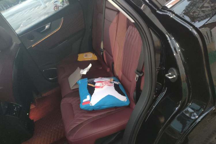 红旗HS5 2023款 2.0T 旗享Pro版中控内饰21