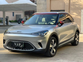 smart精灵#1 2024款 灵动标准版