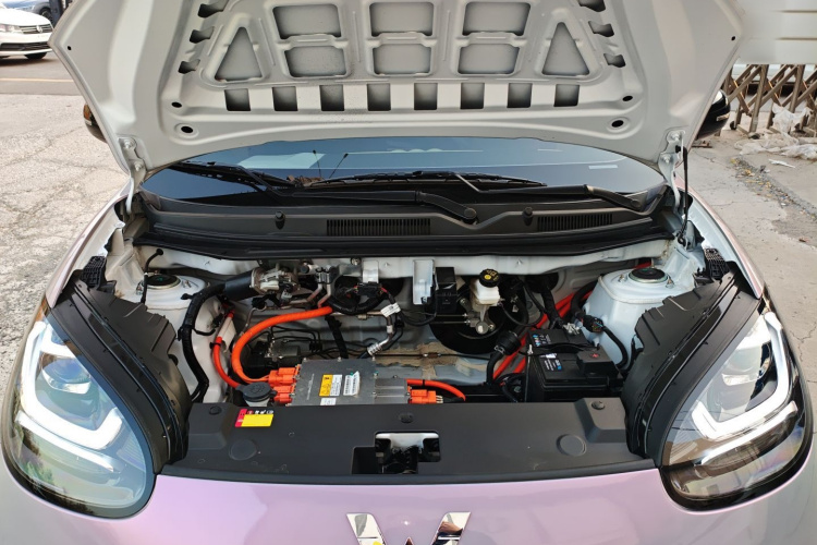 五菱汽车 五菱缤果 2024款 203km 轻享款机舱底盘24