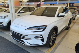 比亚迪 宋PLUS新能源 2023款 冠军版 DM-i 110KM 旗舰型