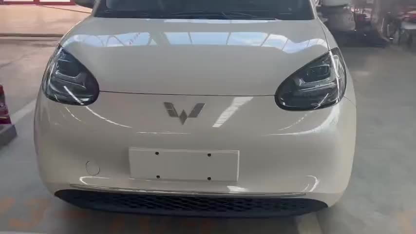 五菱汽车 五菱缤果 2023款 203km 舒享款实拍1