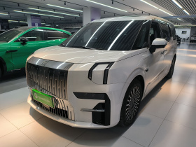 极氪009 2022款 WE版