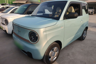 吉利银河 2024款 熊猫mini 200km 耐力熊