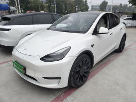 特斯拉 Model Y 2022款 Performance高性能全轮驱动版