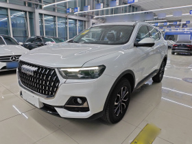 哈弗H6 2023款 国潮版 1.5T 自动都市版