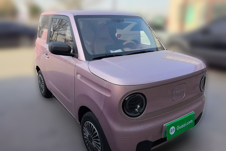 吉利银河 2023款 熊猫mini 200km 耐力熊车身外观6002