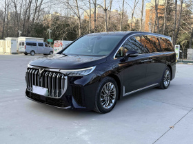 岚图汽车 岚图梦想家 2022款 低碳版 梦+智享包