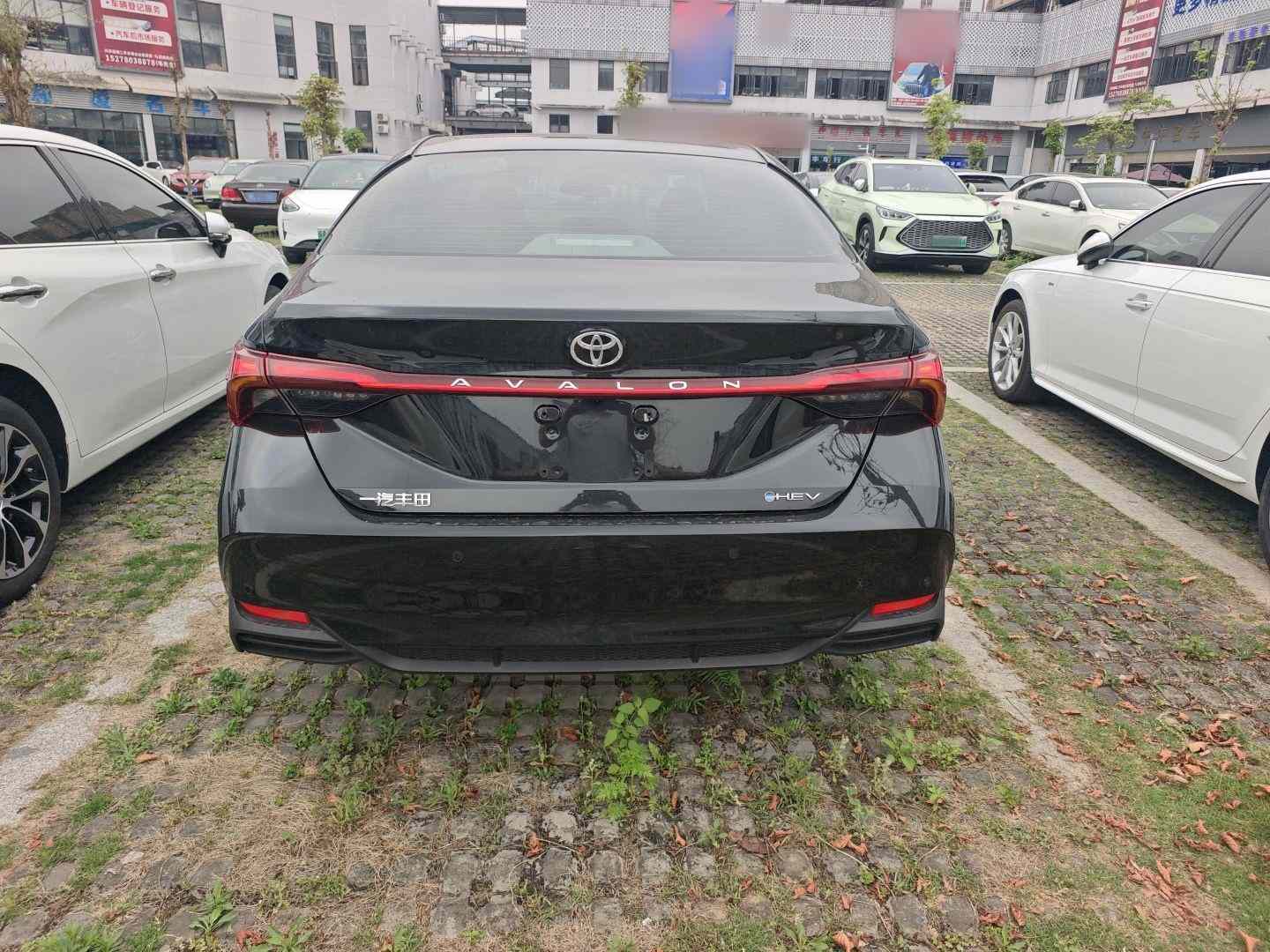 丰田 亚洲龙 2024款 双擎 2.0L 豪华版(4)