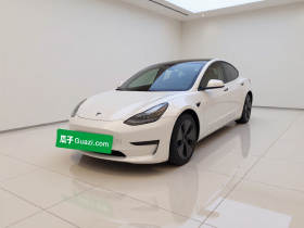 特斯拉 Model 3 2022款 后轮驱动版
