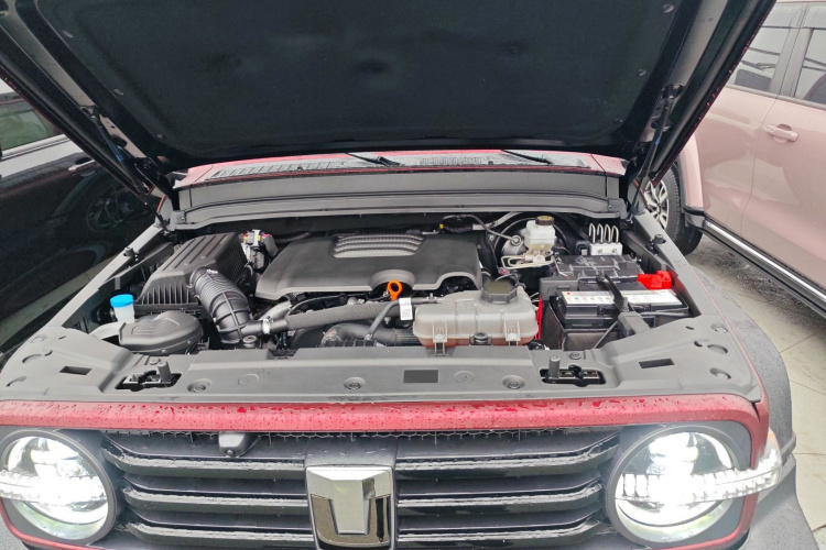 坦克300 2024款 2.0T 征服者机舱底盘24