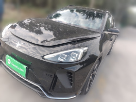 ARCFOX极狐 极狐 阿尔法T(ARCFOX αT) 2024款 600D 森林版PRO 320kW