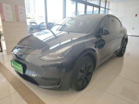 特斯拉 Model Y 2024款 后轮驱动版