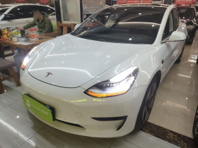 特斯拉 Model 3 2020款 改款 标准续航后驱升级版