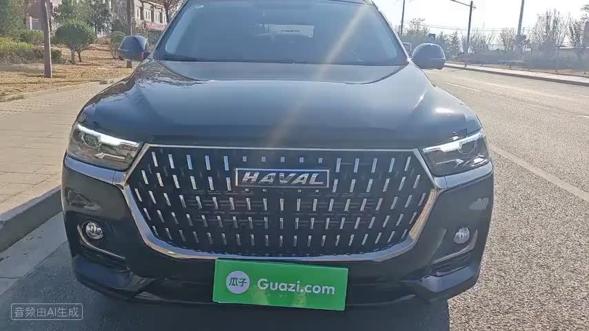 哈弗H6 2023款 国潮版 1.5T 自动都市版检测视频1