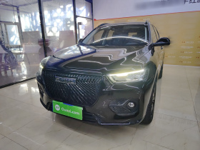 哈弗H6 2021款 2.0GDIT 自动GT豪华版