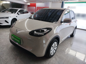 五菱汽车 五菱缤果 2024款 203km 轻享款