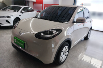 五菱汽车 五菱缤果 2024款 203km 轻享款