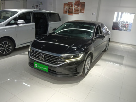 大众 帕萨特 2022款 280TSI 商务版
