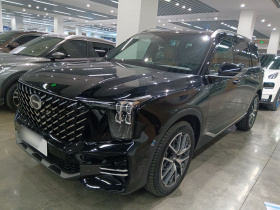 广汽传祺 传祺GS8 2025款 领航系列 2.0TGDI 两驱豪华版 5座