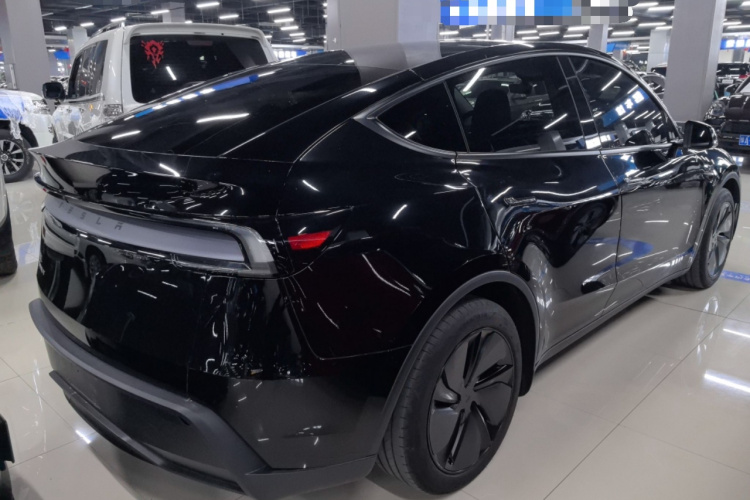 特斯拉 Model Y 2025款 后轮驱动版车身外观6004