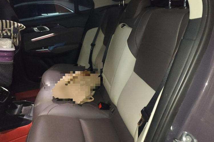 领克02新能源 2019款 1.5T PHEV Pro中控内饰21