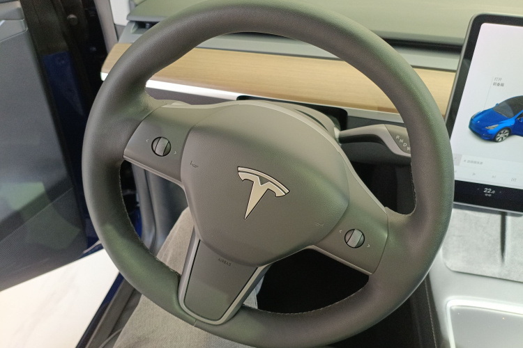 特斯拉 Model Y 2021款 标准续航后驱版中控内饰13