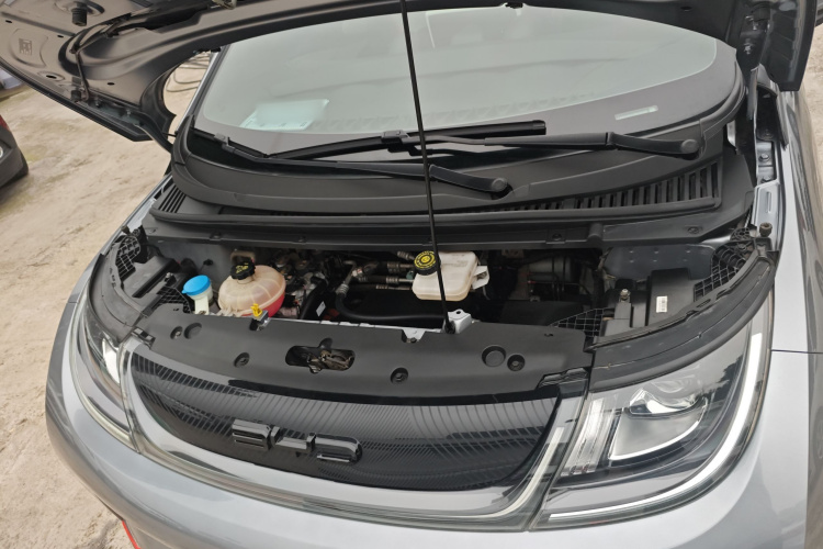 比亚迪 海豚 2021款 405km 时尚版机舱底盘24