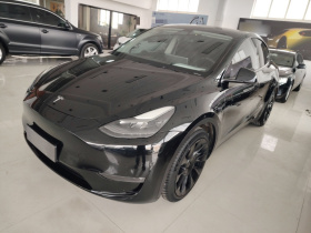 特斯拉 Model Y 2021款 标准续航后驱版