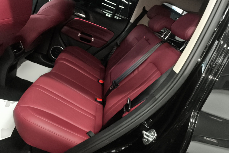 坦克300 2024款 2.0T 征服者中控内饰21