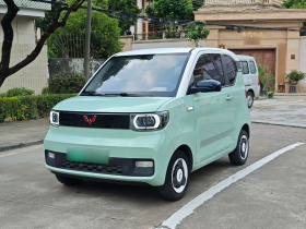 五菱汽车 宏光MINIEV 2021款 马卡龙臻享款 磷酸铁锂