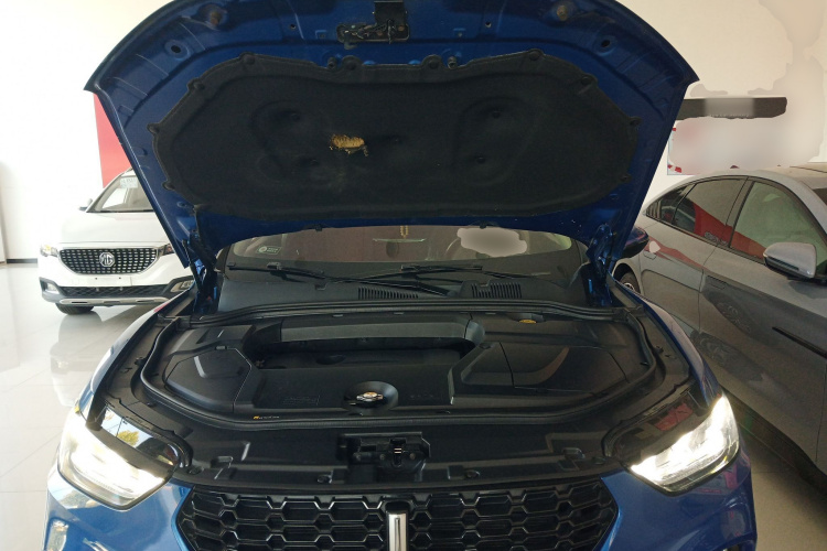 魏牌 VV5 2017款 2.0T 超豪型机舱底盘24