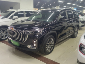 捷途X90 PLUS 2024款 1.6TD DCT别墅 7座