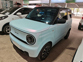 吉利银河 2023款 熊猫mini 200km 耐力熊