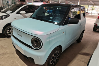 吉利银河 2023款 熊猫mini 200km 耐力熊