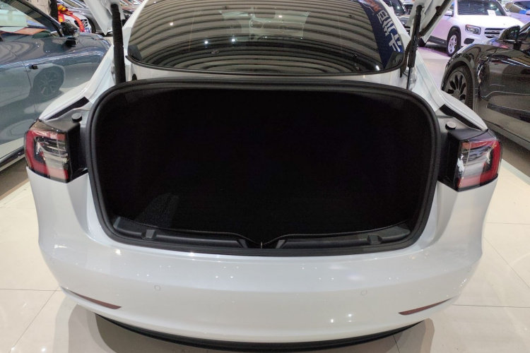 特斯拉 Model 3 2021款 标准续航后驱升级版 3D6机舱底盘23