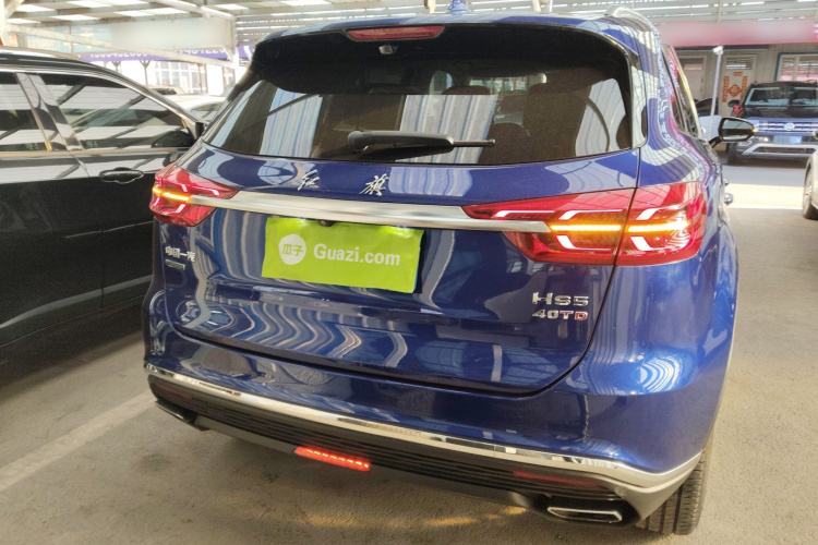 红旗HS5 2019款 2.0T 智联旗领四驱版车身外观6004