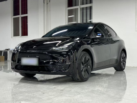 特斯拉 Model Y 2023款 长续航全轮驱动版