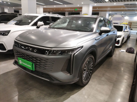 星途 瑶光C-DM 2024款 1.5T 长续航Pro