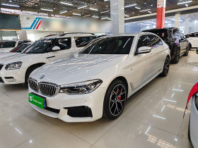 宝马5系 2020款 530Li 尊享型 M运动套装