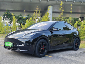 特斯拉 Model Y 2022款 后轮驱动版