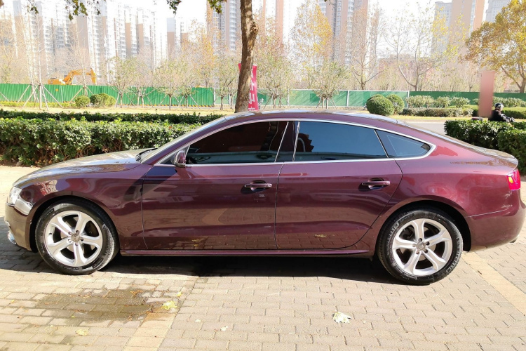 奥迪A5 2014款 Sportback 45 TFSI车身外观6006
