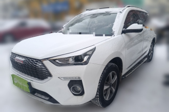 哈弗H6 Coupe 2018款 红标 1.5T 自动两驱豪华型