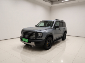 哈弗猛龙新能源 2024款 Hi4 145 穿越版