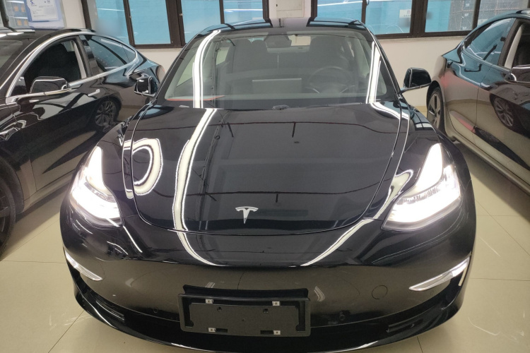特斯拉 Model 3(进口) 2019款 长续航全轮驱动版车身外观2