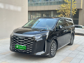 比亚迪 夏 2025款 DM-i 1.5T 180km 卓越型