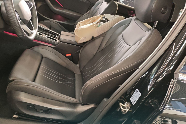 大众 迈腾 2024款  300TSI DSG尊享版显眼包中控内饰19