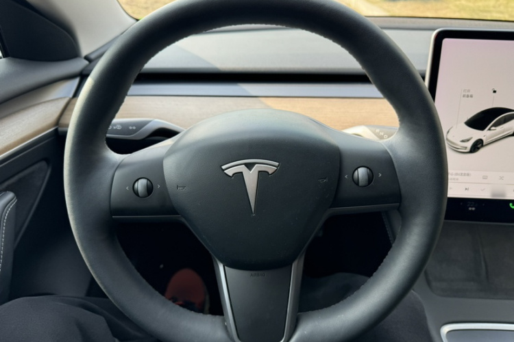 特斯拉 Model 3 2021款 改款 标准续航后驱升级版 3D1局部细节13