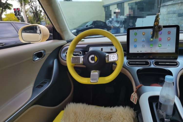 smart精灵#1 2022款 Pure+版局部细节13