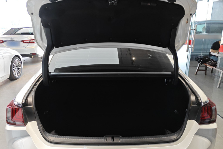 雷克萨斯ES 2022款 260 卓越版局部细节23